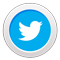 Twitter Icon